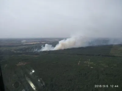 В Харьковской области горело 5 га леса