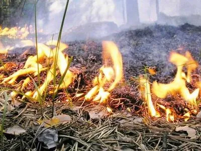 Лісову пожежу на Харківщині ліквідовано
