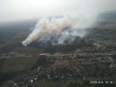 Пожар в лесу в Харьковской области локализовали: тлеют отдельные очаги