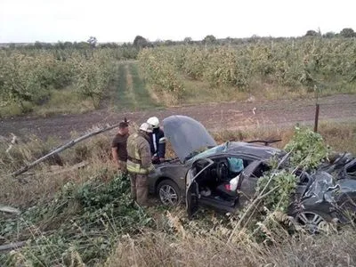 Легковушка в Донецкой области влетела в дерево: два человека погибли, два - ранены