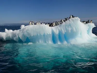 Скорость таяния ледников Антарктиды утроилась - ООН