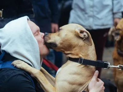 У Львові відбудеться марш за права тварин