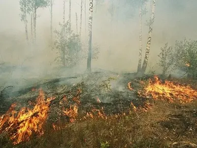 Украинцев предупредили о риске возникновения природных пожаров