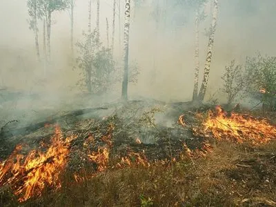 Украинцев предупредили о риске возникновения природных пожаров