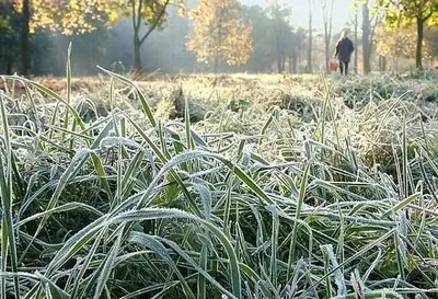В Украину идут первые заморозки