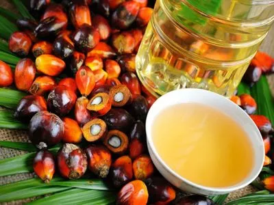 Украина импортировала почти 150 тыс. тонн пальмового масла
