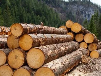 ГФС разоблачила одну из схем контрабанды леса-кругляка в Румынию