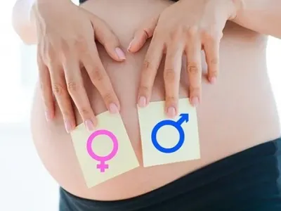 У Британії пропонують заборонити вагітним повідомляти стать дитини
