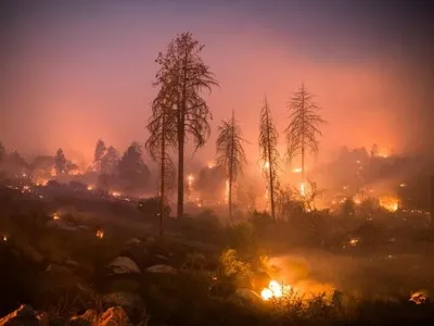 У Каліфорнії повністю локалізували рекордну за площею природну пожежу