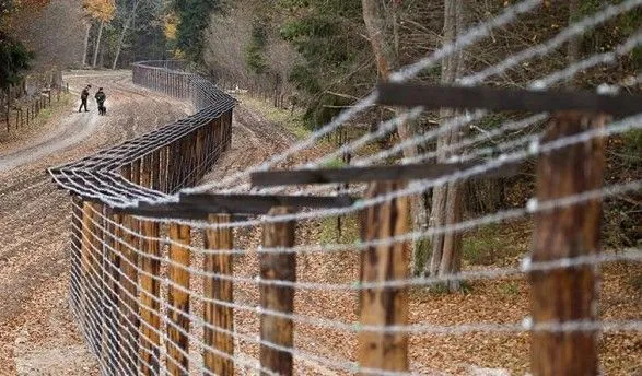 АЧС: Финляндия решила построить забор на границе с Россией