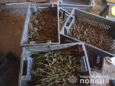 На Херсонщині поліцейські вилучили 18 кг марихуани та зброю