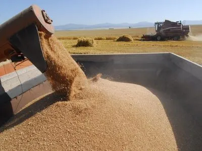 Експорт зернових цього року зменшився на 10,2%