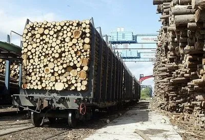 Фиктивная компания в Черниговской области вывозила из Украины древесину