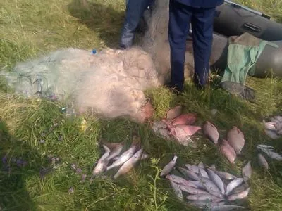 В Україні хочуть збільшити штрафи за порушення правил рибальства