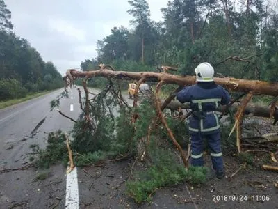 У Рівненській області дерево впало на будинок із дітьми