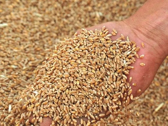 Определеннные в Меморандуме объемы экспорта пшеницы пересматриваться не будут - Минагрополитики