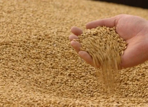 Урожай-2018: аграрии собрали более 40 млн тонн зерна