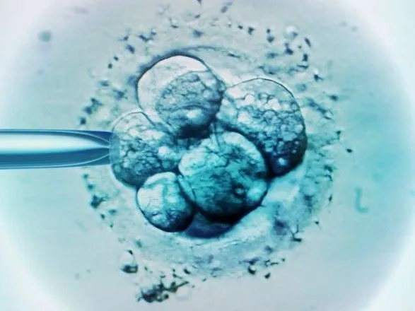 В Японії запропонували дозволити редагувати гени ембріонів людини