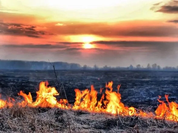 На юге Украины ожидается самый высокий уровень пожароопасности