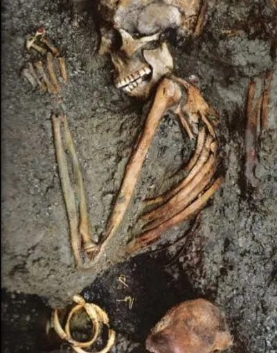 Химики и криминалисты уточнили причину гибели некоторых жителей древнеримского Геркуланума