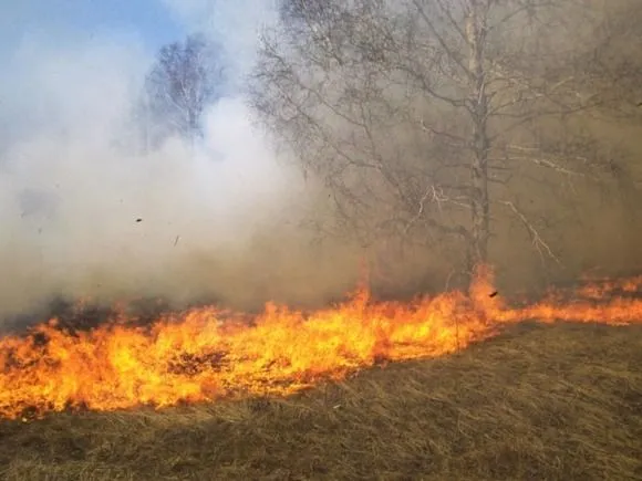 На військовому полігоні у Харківській області сталася пожежа