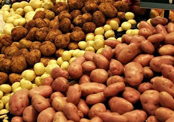 Украина уже собрала почти 22,2 млн тонн картофеля
