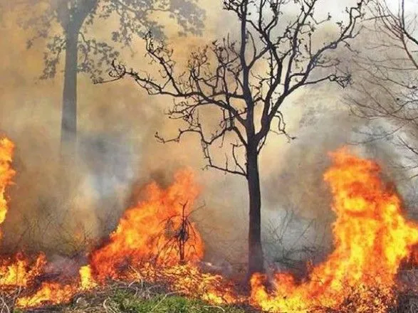 До воскресенья в Украине сохранится чрезвычайная пожароопасность