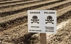 Бельгия запретила непрофессионалам использовать гербицид глифосат