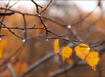 В Україну повертається осінь – синоптик