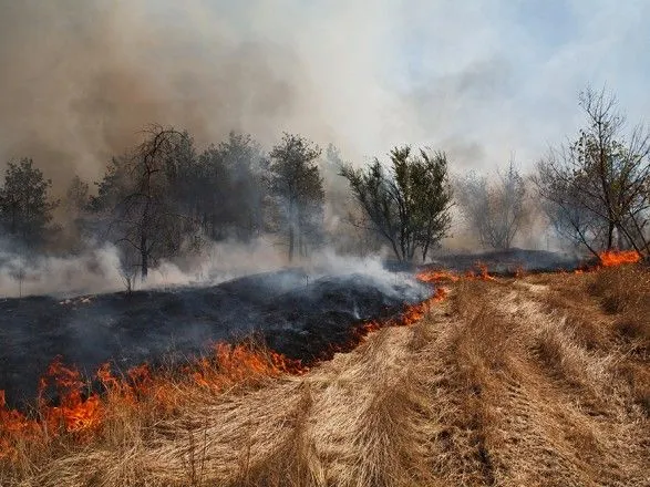 На вихідних в Україні утримається надзвичайна пожежонебезпека