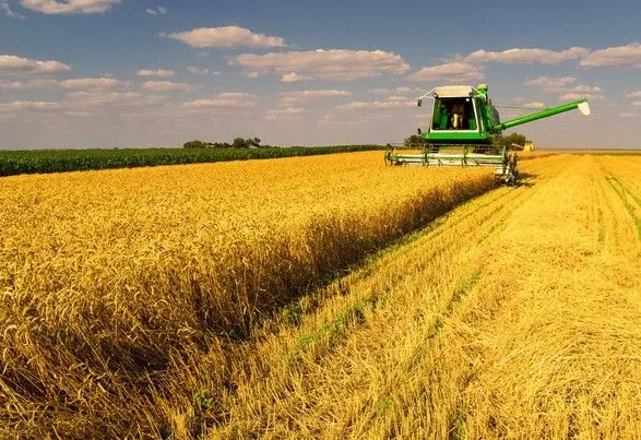 Експерт розповів, скільки в Україні коштує агробізнес "з нуля"