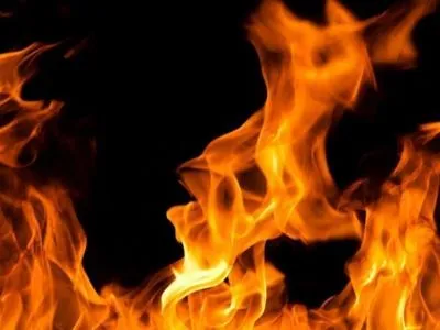 Два малолетних ребенка погибли на пожаре в Киевской области