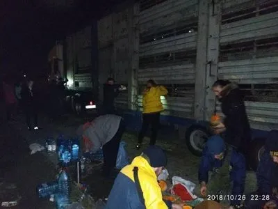 Волонтери опублікували відео з місця блокади вантажівки з замореними вівцями