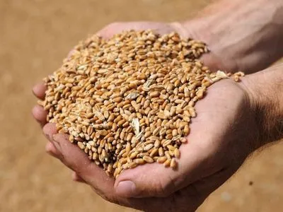 В Украине уже собрали почти 60 млн тонн зерна