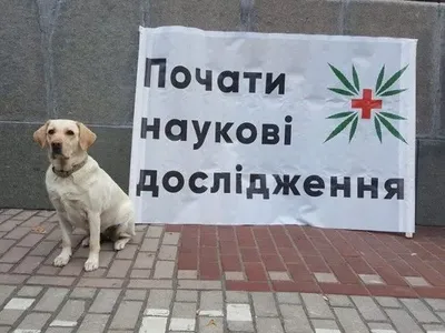 Киевом прошел "Конопляный марш"