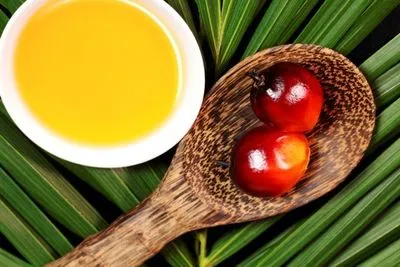 Пальмовое масло попало в ТОП-3 наиболее импортируемых продуктов в РФ
