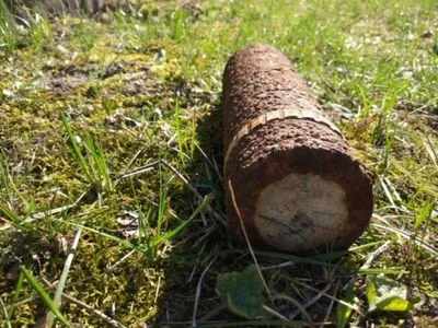 В товарном поезде из Украины в Польшу нашли артиллерийский снаряд