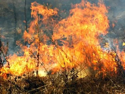 В Украине до 31 октября сохранится чрезвычайная пожароопасность