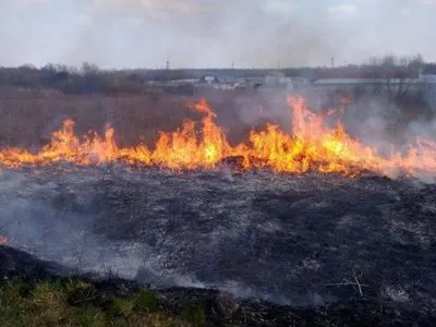 По Україні очікується найвищий рівень пожежонебезпеки