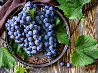 Італія збере найбільший в світі урожай винограду