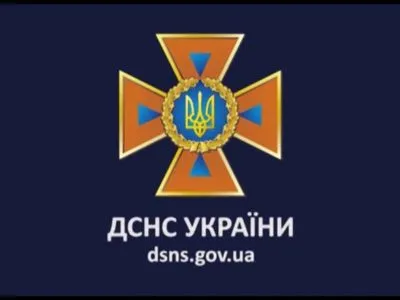 ДСНС: у результаті пожежі на Київщині загинули двоє дітей