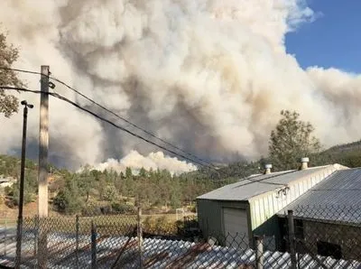 Школы и больницы эвакуировали в Калифорнии из-за масштабного лесного пожара