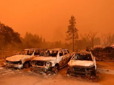Зросла кількість жертв лісових пожеж у Каліфорнії