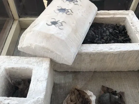 У Єгипті виявили рідкісну колекцію муміфікованих кішок та жуків-скарабеїв