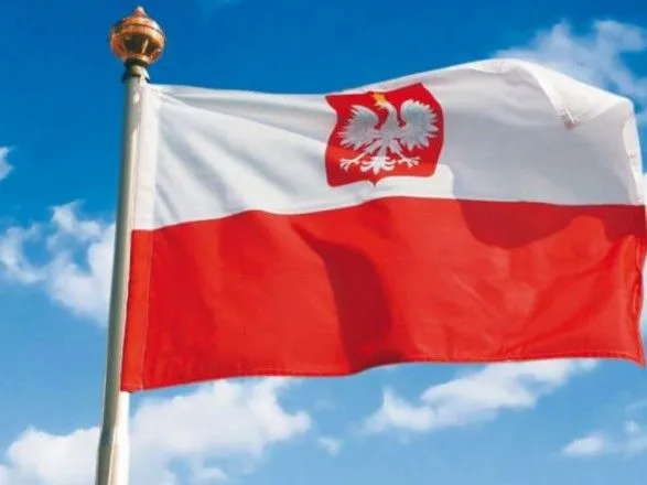 Польша призвала ввести санкции в отношении организаторов "выборов" в ОРДЛО
