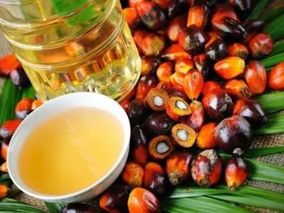 Украина продолжает бить рекорды по импорту пальмового масла