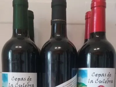 Іспанці почали робити вино з хмелю