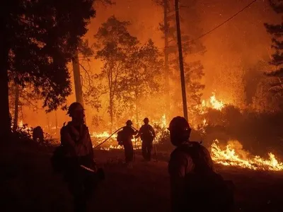 ABC: число загиблих в результаті лісових пожеж в Каліфорнії досягло 44 осіб