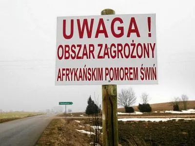 Польща просить ЄК частково зняти обмеження щодо АЧС