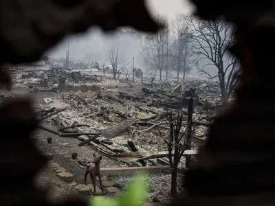 На юге Калифорнии во время пожара полностью сгорели более 600 домов